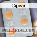 Cipvar 24